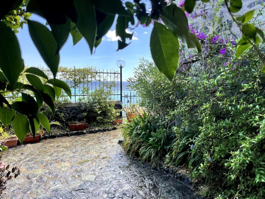Ocean View Villa With Fast Wi-Fi And Elevator To Town Levanto Exteriör bild